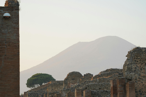 Pompei Guided Tour in Shared FormulaSommer Rate