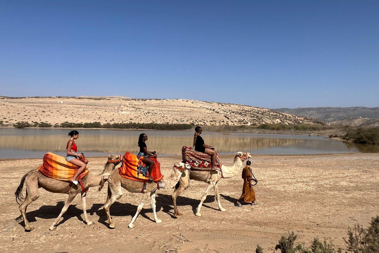 Desde Agadir: Paseo en Camello y Excursión a los Flamencos