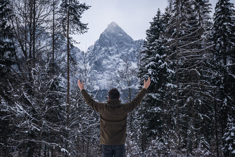 From Ljubljana/Bled: Winter Bohinj & Kranjska Gora Day Trip From Bled — Pickup at your accommodation