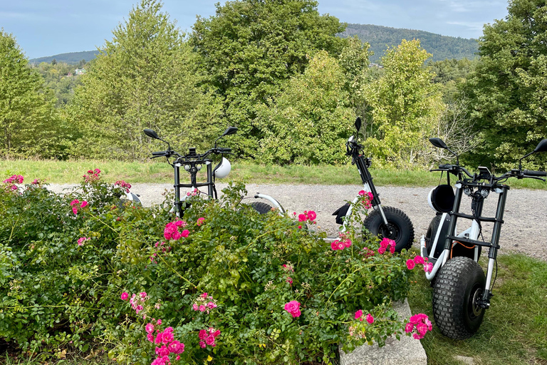 Baden-Baden : Visite guidée privée de KNUMO e-Scooter VIPBaden-Baden : Visite guidée privée de KNUMO