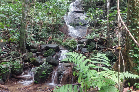 Khao Lak : excursion à vélo d'une demi-journée vers les cascades et les lacs, avec déjeunerKhao Lak : excursion à vélo d'une demi-journée vers les cascades et les lacs, avec