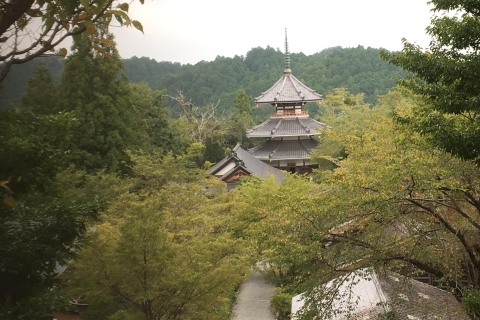 Yoshino: Privé rondleiding & wandelen in een Japanse bergYoshino: Hele dag privétour met gids in een Japanse berg