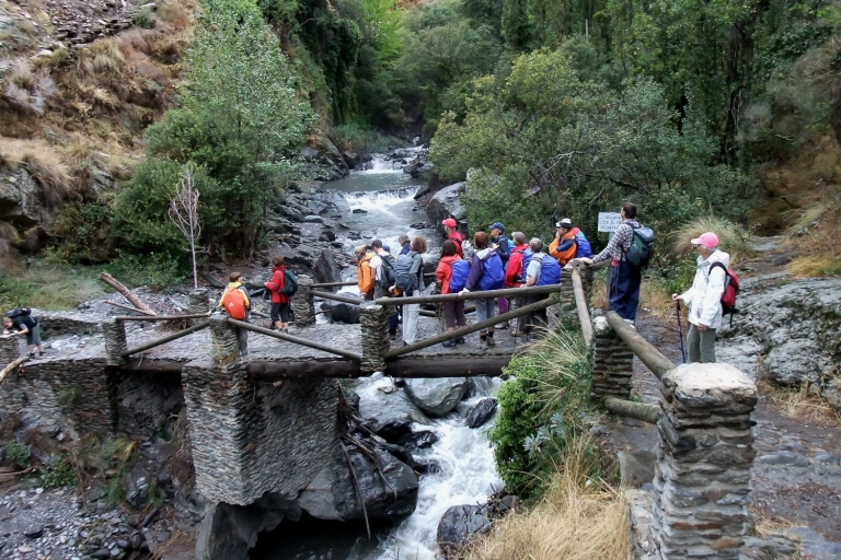 Alpujarras: Tagestour zu historischen BergdörfernAlpujarras: Tour Historische Bergdörfer mit Mittagessen