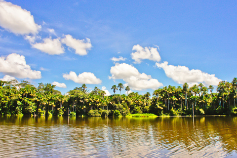 Puerto Maldonado: Yacumama Lake Piranha Fishing Tour & phtos