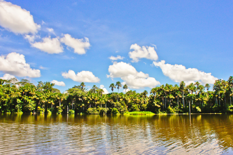 Puerto Maldonado: Yacumama Lake Piranha Fishing Tour & phtos