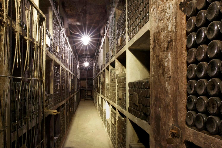 Ljubljana: Ptuj & Haloze Wine Cellar Tour with Tastings