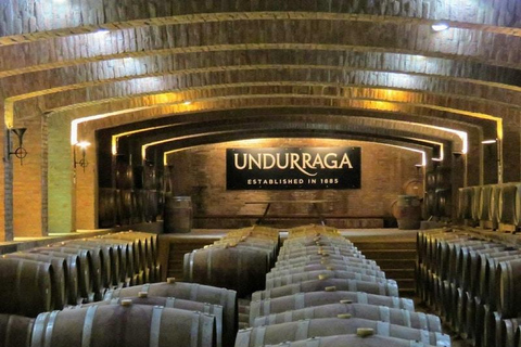 From Santiago: Undurraga Winery Tour & Wine Tasting
