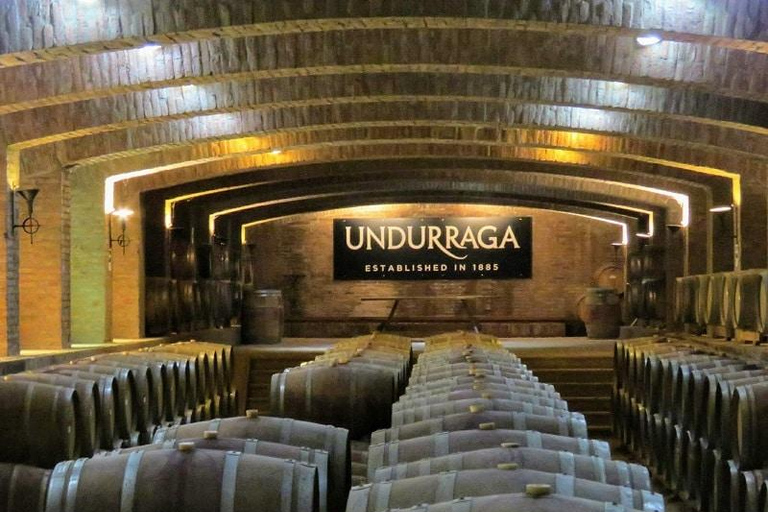 From Santiago: Undurraga Winery Tour & Wine Tasting