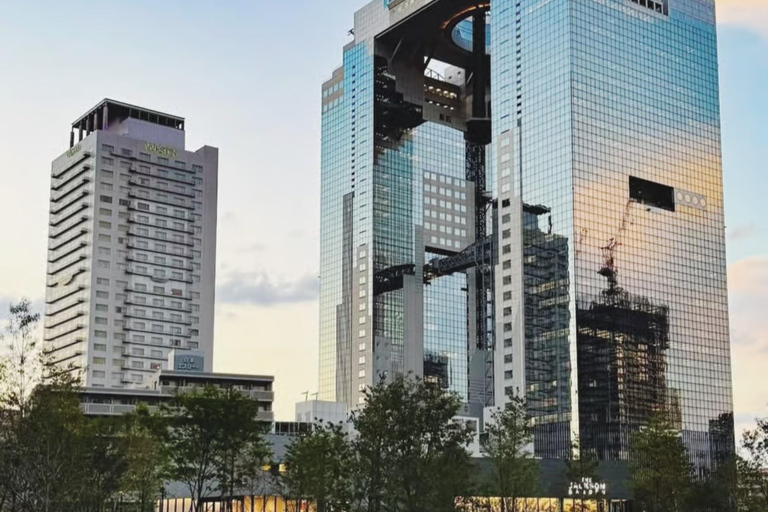 Osaka: Explore Cultural Gems with Pickup & Private Guide