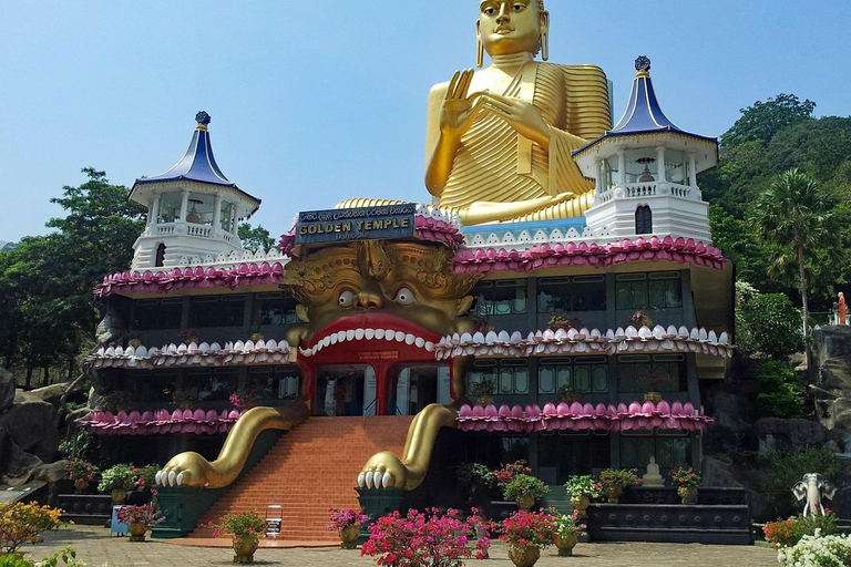 Negombo: Sigiriya, Dambulla & Elephant Safari Day Trip