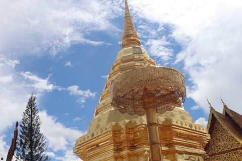 Halbtagestour am Morgen Wat Pha Lat &amp; Wat Phra That Doi Suthep TourPritave Tour