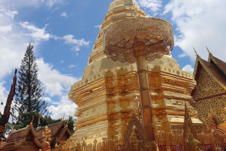 Halvdagsutflykt Wat Pha Lat &amp; Wat Phra That Doi Suthep på morgonenPritave Tour