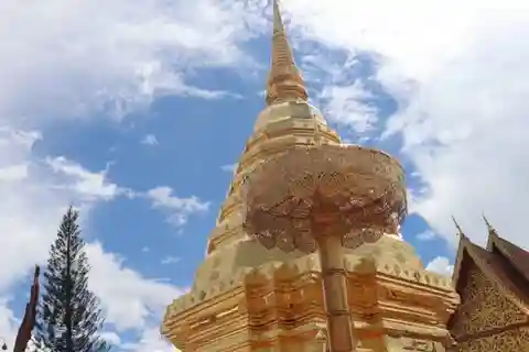 Excursão de meio dia pela manhã a Wat Pha Lat e Wat Phra That Doi Suthep