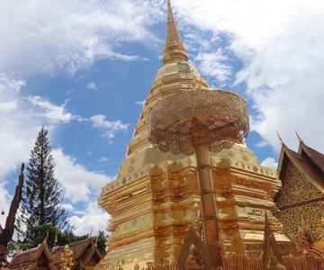 Visite d'une demi-journée le matin à Wat Pha Lat et Wat Phra That Doi Suthep