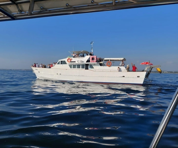 UMAG: Zwemmen&Panorama / Welkomstdrankje en Dolfijnen spotten