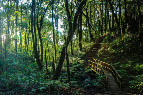 Chiang Mai: Excursión a Doi Inthanon, Cascadas y Aldeas Tribales