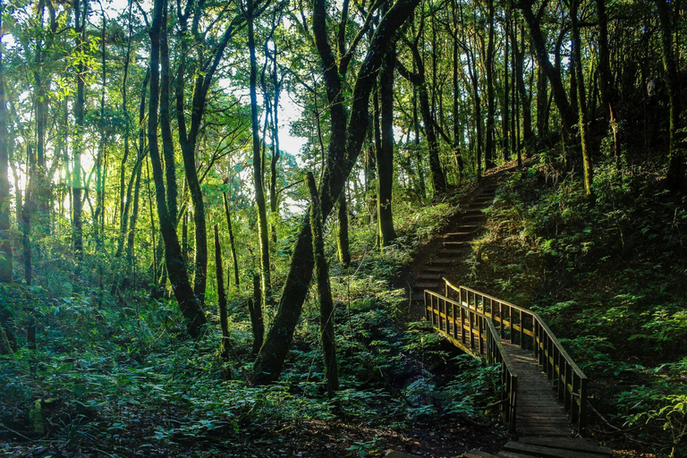 Chiang Mai: Doi Inthanon, Wasserfälle & Stammesdörfer Tour