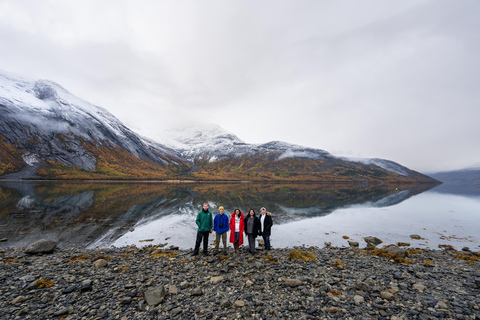 Utforska de norska fjordarna och djurlivet från Abisko.