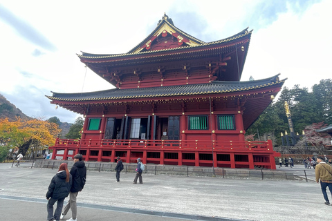 From Tokyo: Nikko Private Day Trip with Pickup & Drop-off