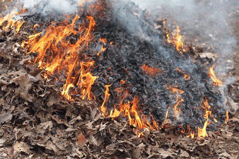 Delhi: Tour durch eine Slum-Siedlung mit Mittagessen und Rikscha-FahrtDelhi: Tour durch die Slums mit Mittagessen und Rikscha-Fahrt