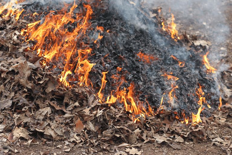 Delhi: Tour durch eine Slum-Siedlung mit Mittagessen und Rikscha-FahrtDelhi: Tour durch die Slums mit Mittagessen und Rikscha-Fahrt