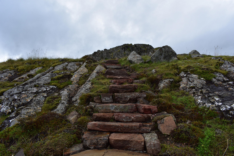 Seyðisfjörður: Puffins, Reindeer, & Waterfall Tour German Departure