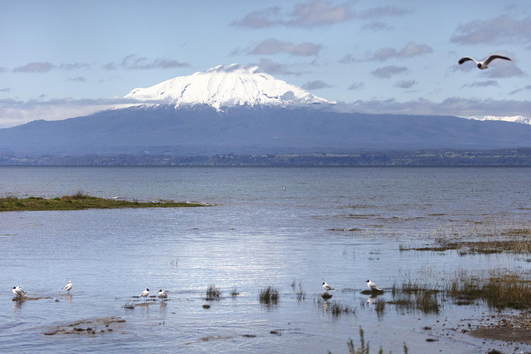Puerto Varas: Shared Sightseeing Tour - Petrohue, Todos Los Santos Lake, and Frutillar Puerto Varas: Shared Sightseeing Tour - Petrohué, Todos Los Santos Lake, and Frutillar