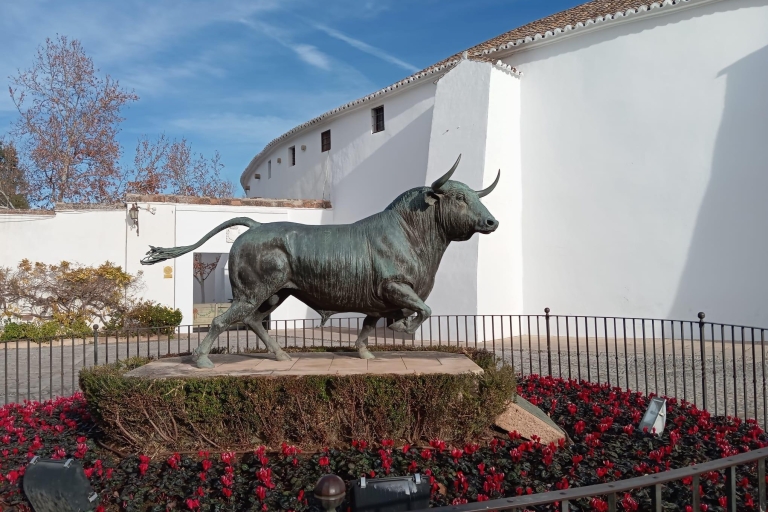 Vanuit Sevilla: privétour Ronda en Setenil met arena