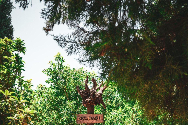Side/Manavgat: Green Canyon, Manavgat Falls, and Animal Park