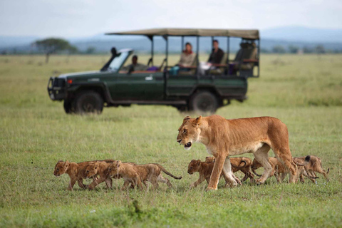3 Days Private Midrange Safari from Zanzibar with Flights