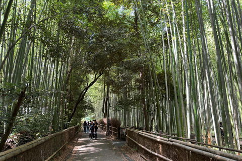 Depuis Osaka/Kyoto : Excursion d&#039;une journée à Kyoto, Nara et Fushimi InariDepuis Osaka/Kyoto : Excursion privée d&#039;une journée à Kyoto et Nara