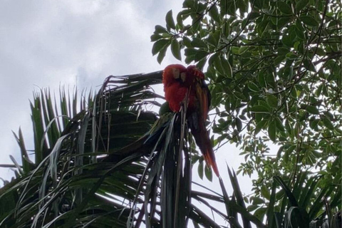 De Medellín: Tour particular de 2 dias em Jardín com actividades