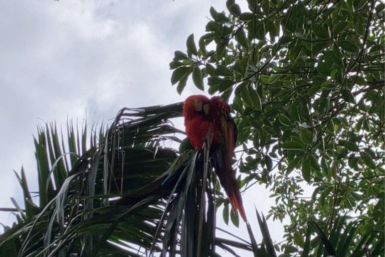 Desde Medellín: tour privado de 2 días a Jardín con actividades