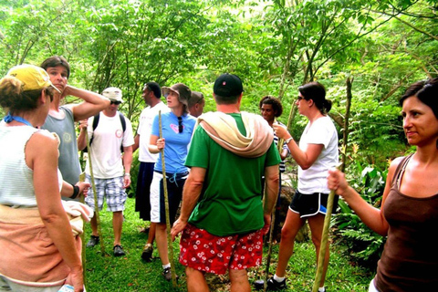NADI: Wycieczka półdniowa do wioski NalesutaleFiji Marriott Momi Bay