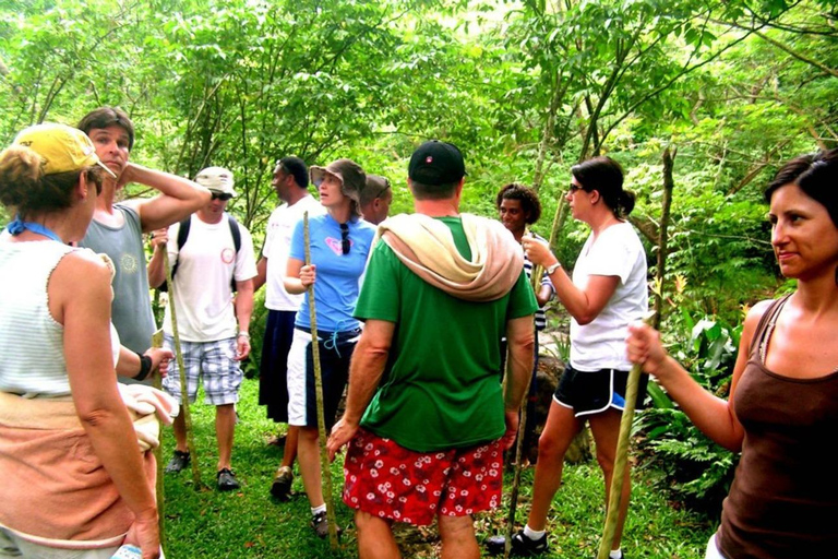 NADI: Wycieczka półdniowa do wioski NalesutaleFiji Marriott Momi Bay