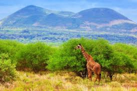 From Mombasa: 3-Day Private Tsavo East Safari with Lodging