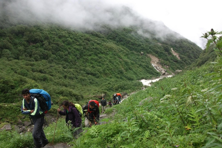 Pokhara : Trek de 3 jours à Astam, Dhampus et Australian CampPokhara : 3 jours de service