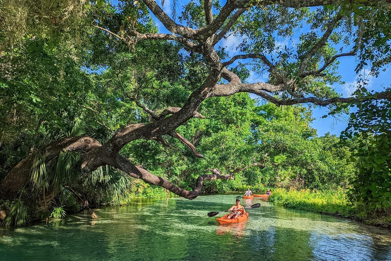Florida: VIP Wild Florida Kayak Adventure VIP Wild Florida Kayak Adventure - Single Kayak