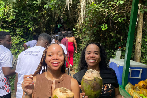 Kakum National Park & Elimina & Cape Coast Castle Day Tour