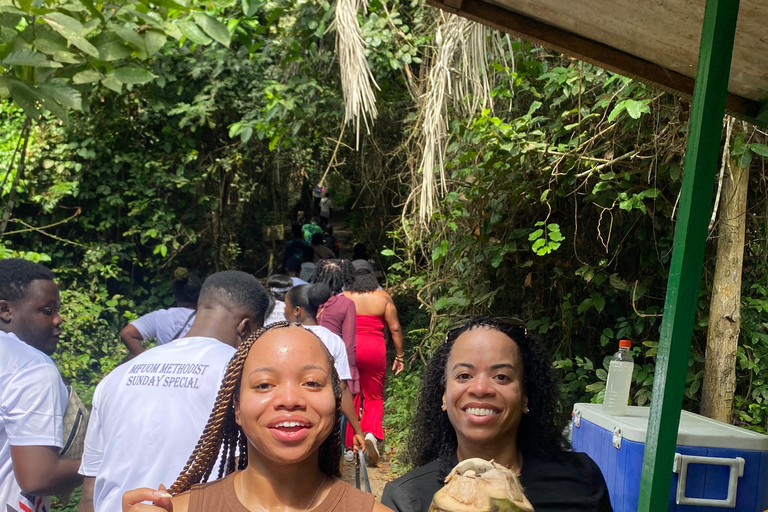 Kakum National Park & Elimina & Cape Coast Castle Day Tour