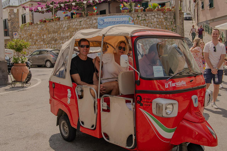 Sorrento: Lemons grove, Farm Tour&Tasting and Pizza Class Sorrento Coast: Enogastronomic Tour with Show & Tasting