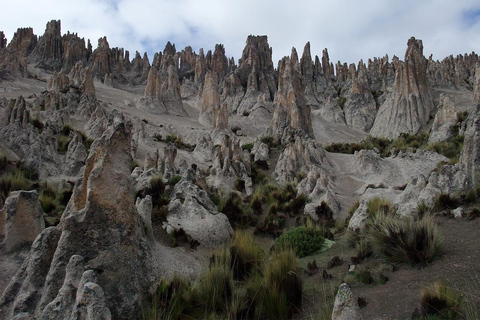 Äventyrsdag i Arequipa: Pillones vattenfall + klippskog