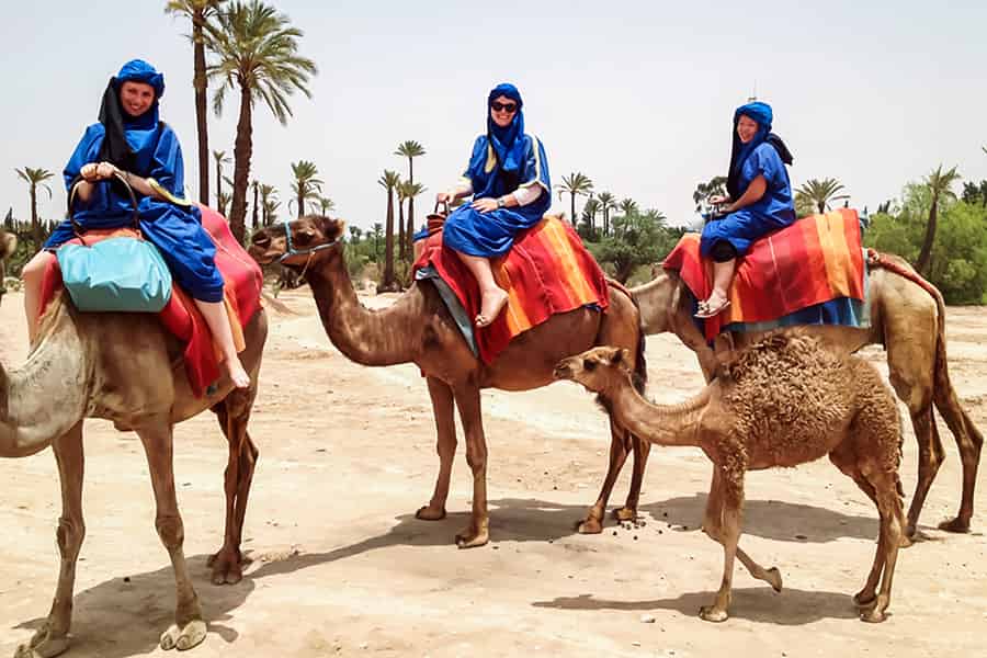 Marrakech: Kamelritt in der Oase Palmeraie. Foto: GetYourGuide