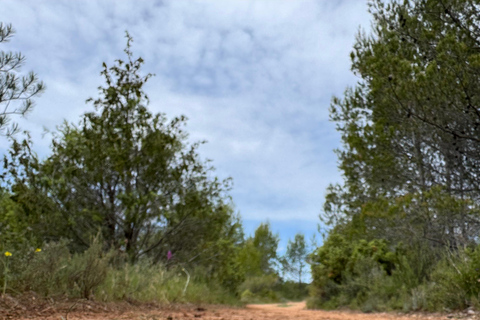 Aix-en-Provence: Hiking near Bimont Dam with Cinematic Reel