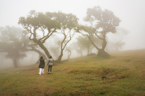 Funchal: Porto Moniz, Fanal Forest and Cabo Girao Jeep TourShared Tour