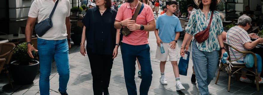 De Vienne à Bratislava : visite citadine avec déjeuner ou dégustation