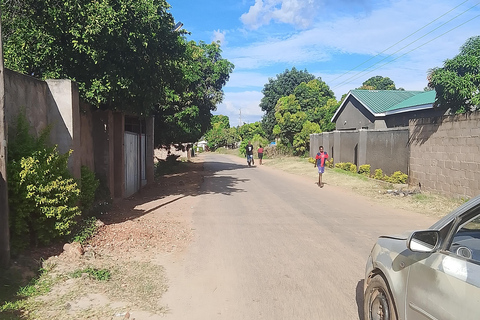 Victoria Falls: Walking Tour with Curio Market Visit