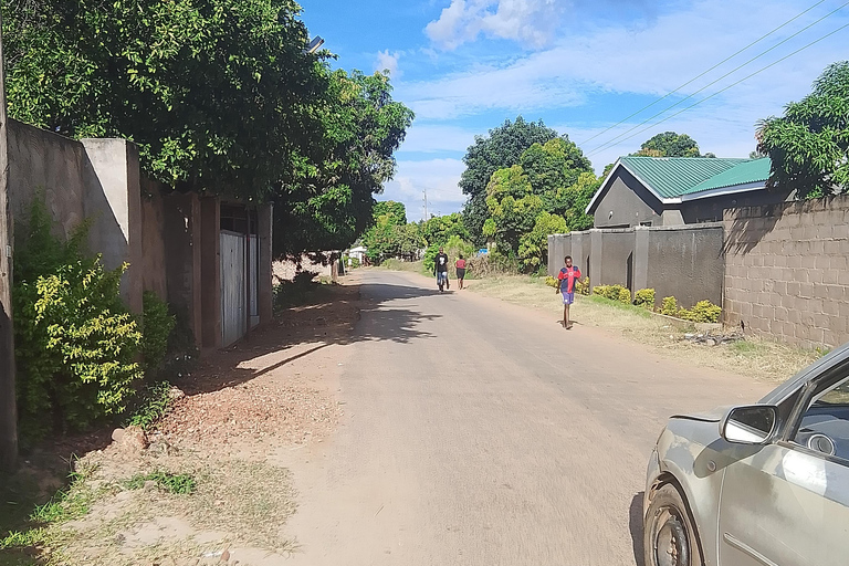 Victoria Falls: Walking Tour with Curio Market Visit