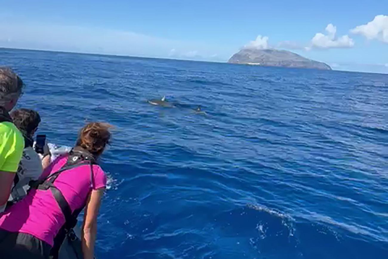 Boat Trip to Corvo and Island Sightseeing Tour