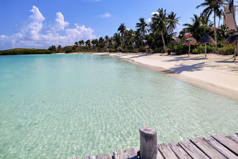Isla Contoy Tour from Isla Mujeres and Cancun Isla Contoy Tour from Isla Mujeres